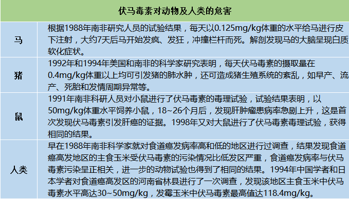 伏马菌素对动物及人类的危害