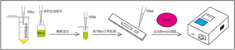 黄曲霉毒素B1荧光定量快速检测卡检测步骤