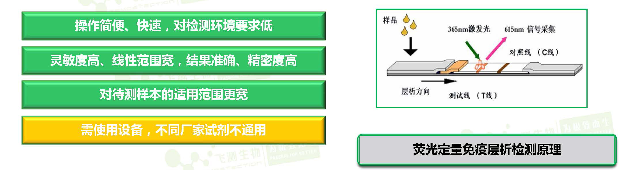 荧光定量免疫层析法