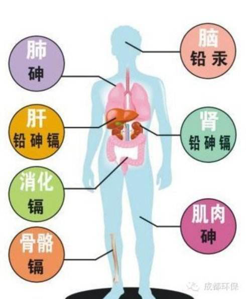 重金属污染来源及危害