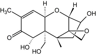 呕吐毒素