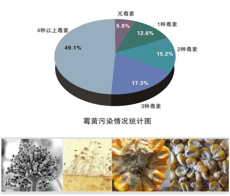 什么是霉菌毒素