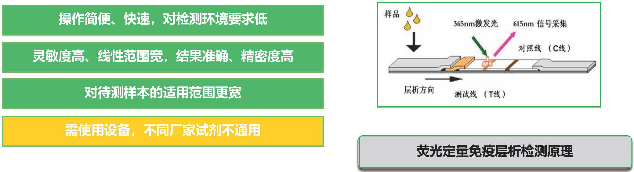 荧光定量免疫层析技术