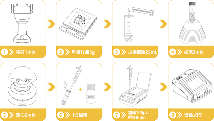 赭曲霉毒素快速定量检测卡操作流程