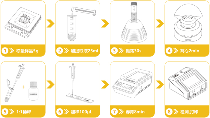 转基因Bt Cry1Ab/Ac检测卡操作流程