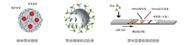 六六六荧光定量快速检测卡/试纸条 六六六荧光定量快速检测卡/试纸条