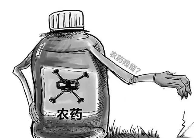 农药残留 农药残留