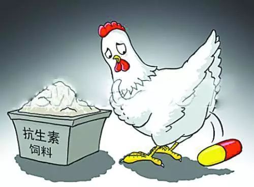 兽药残留 兽药残留