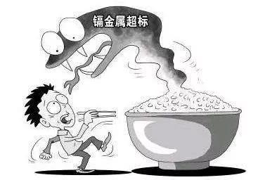 大米重金属
