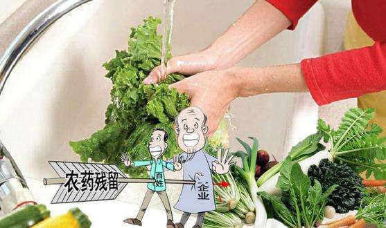 果蔬农药残留 果蔬农药残留