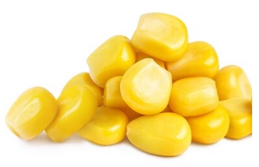 玉米黄曲霉毒素