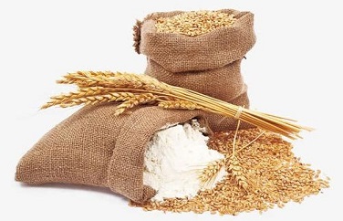小麦面粉呕吐毒素